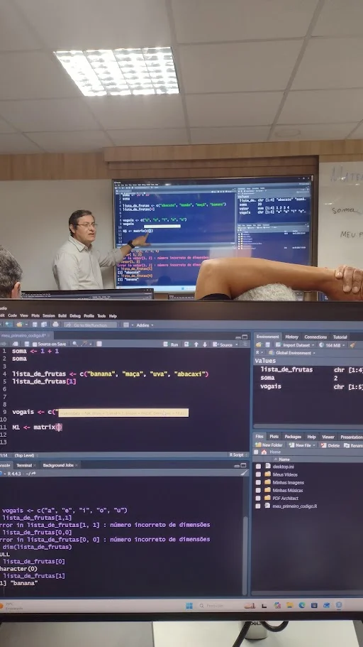 Programando em R